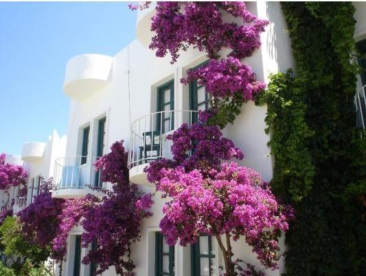 Safir Hotel Bitez Exterior photo